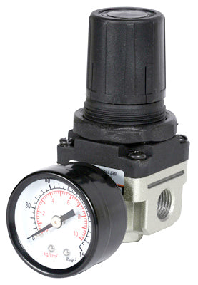 MM 1/4" Regulator/Gauge
