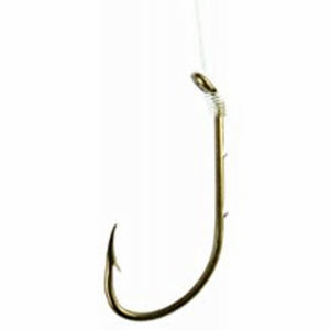 24PK Snelled Bait Hook