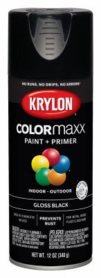 12OZ BLK GLS Paint