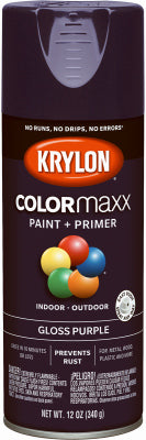 12OZ Purp GLS Paint