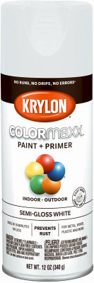 12OZ WHT SG Paint