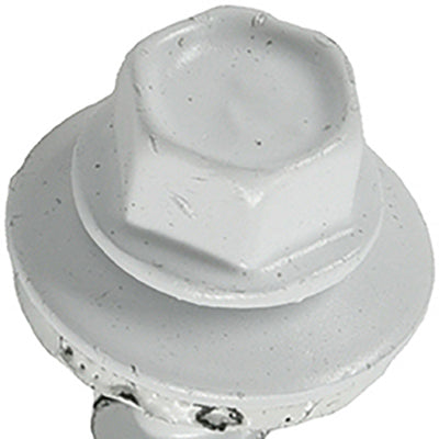 250PC 10x1.5 WHT Screw
