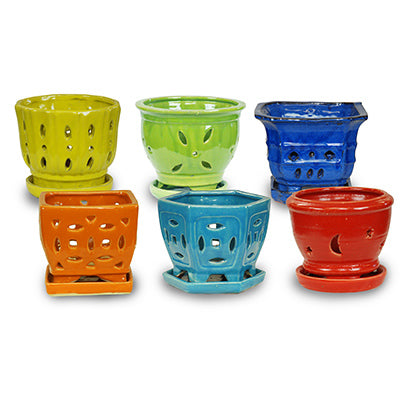 5.5" Rainbow Orchid Pot