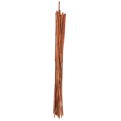 GT 6PK 6' Bamboo Stake