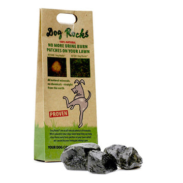 PET Stain & ODOR Removers