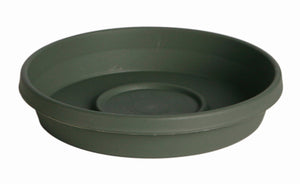 16" L GRN Terra Saucer