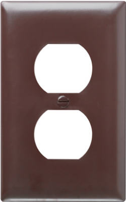 BRN 1G 1DPLX Wall Plate
