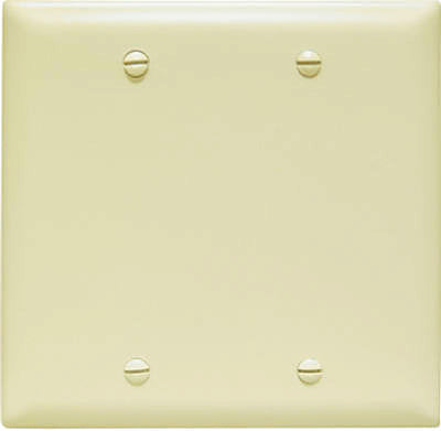 IVY 2G BLNK Nyl Plate