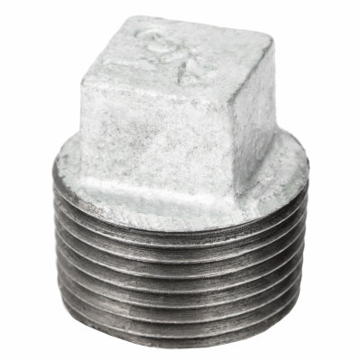 3/4 Galv Plug