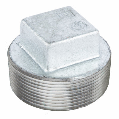 2" Galv Plug