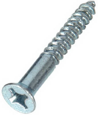 100PK 10x1 FH WD Screw