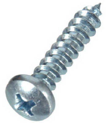 100PK 10x2 PH MTL Screw