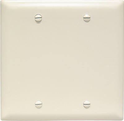 ALM 2G Nyl WallPlate