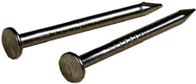 2OZ 3/4x17 SS Nail