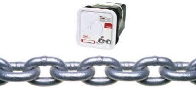 1/4"x100' Proof Chain