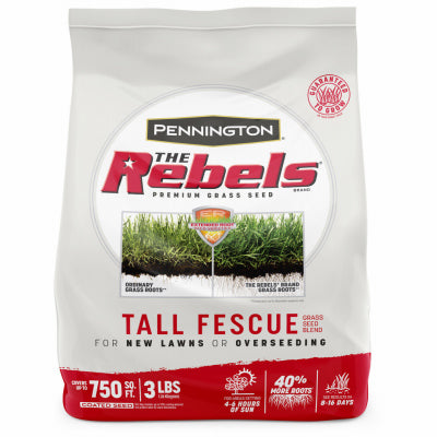 3LB Rebel Fescue Seed