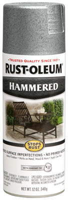 12OZ SLV Hammered Paint