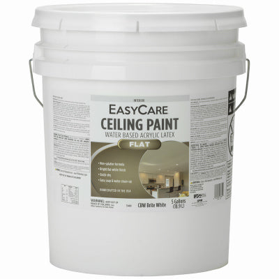 SR 5GAL WHT Ceil Paint