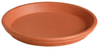 14" TC Saucer
