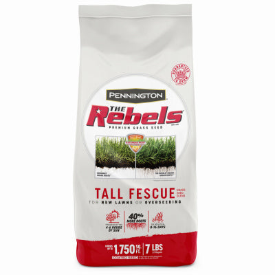 7LB Rebel Fescue Seed