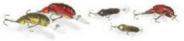 HARD BAIT Lures