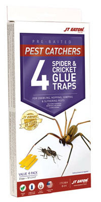4PK Crick/Spid GlueTrap