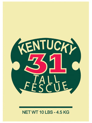 10LB Ky31 Grass Seed