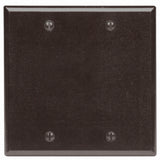 Leviton Mfg Co 001-85025-000 2G Brn Blank Wallplate 2