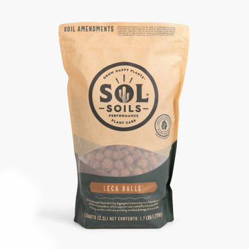 2QT LECA Balls