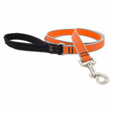 LUPINE INC 48309 3/4x6' OD Dog Leash 2