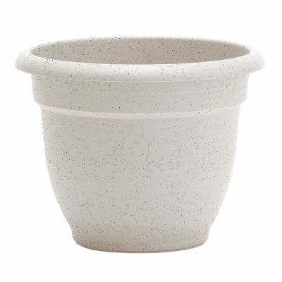 12" Bean Ariana Planter