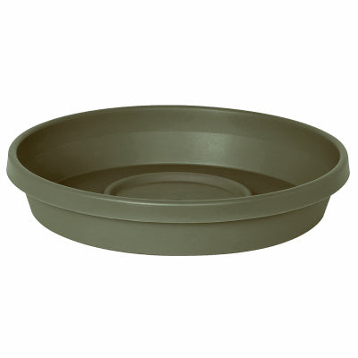 8" Basil Terra Saucer