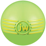 PETMATE 43032 Isqueak LG Ball Dog Toy 2
