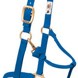 Weaver Leather Llc 35-1032-BL 3/4" BLU Pony Halter 2