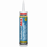 146728 10.1OZ WHT ALL Caulk 2