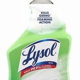 Reckitt Benckiser 1920078914 Lysol 32OZ AP Cleaner 2