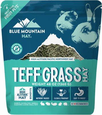 48OZ Teff Grass Hay