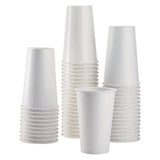 Karat C-KCP16W Double Poly Paper Cold Cups, 16 oz, White, 1,000/Carton